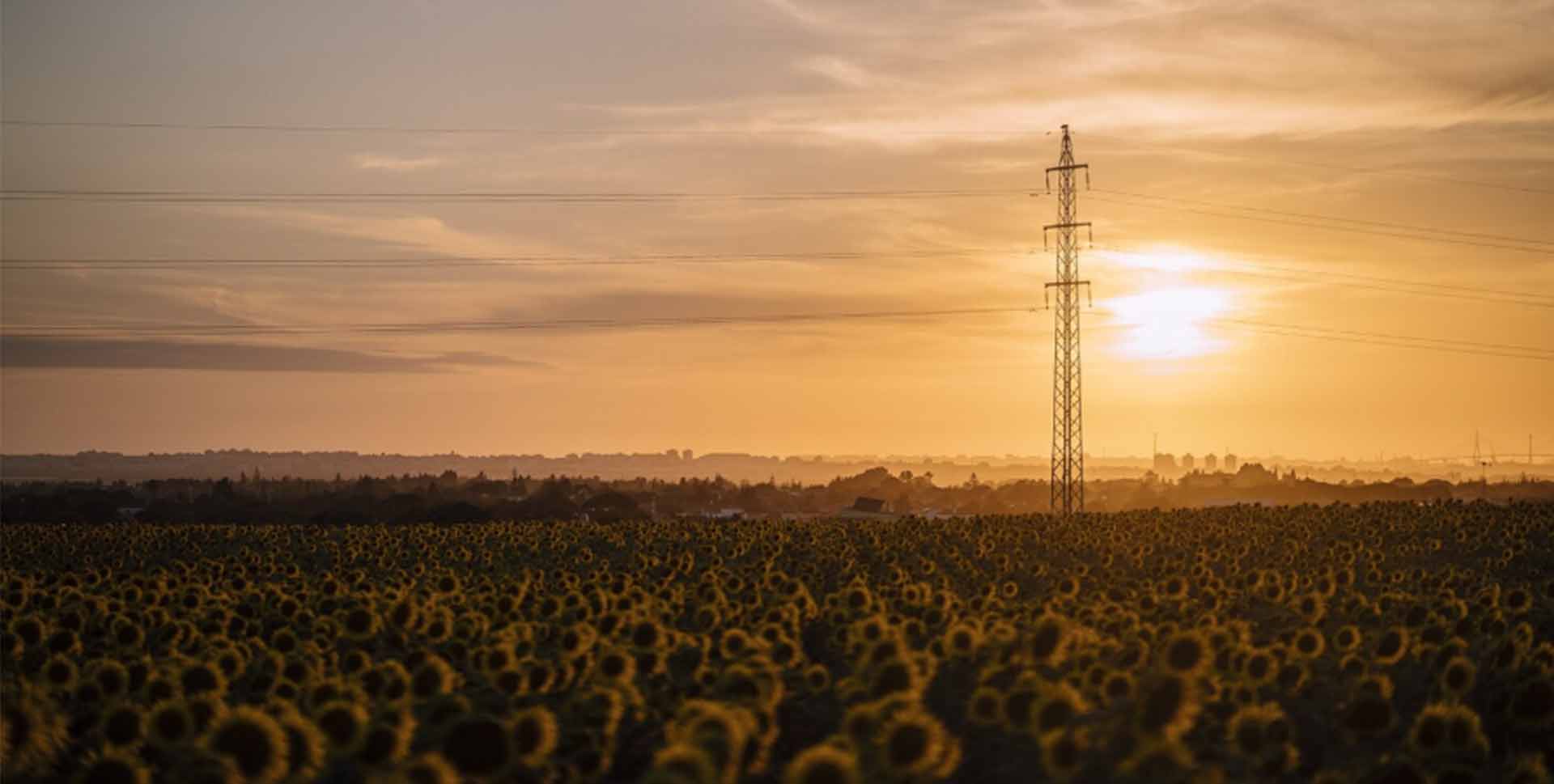 Transformador para o setor agropecuário: conheça seus usos